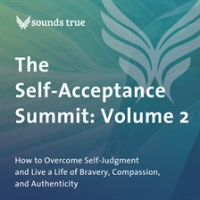 The_Self-Acceptance_Summit__Volume_2